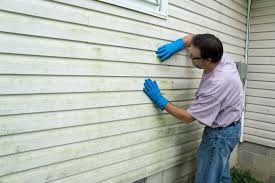 Best Storm Damage Siding Repair  in Xenia, OH